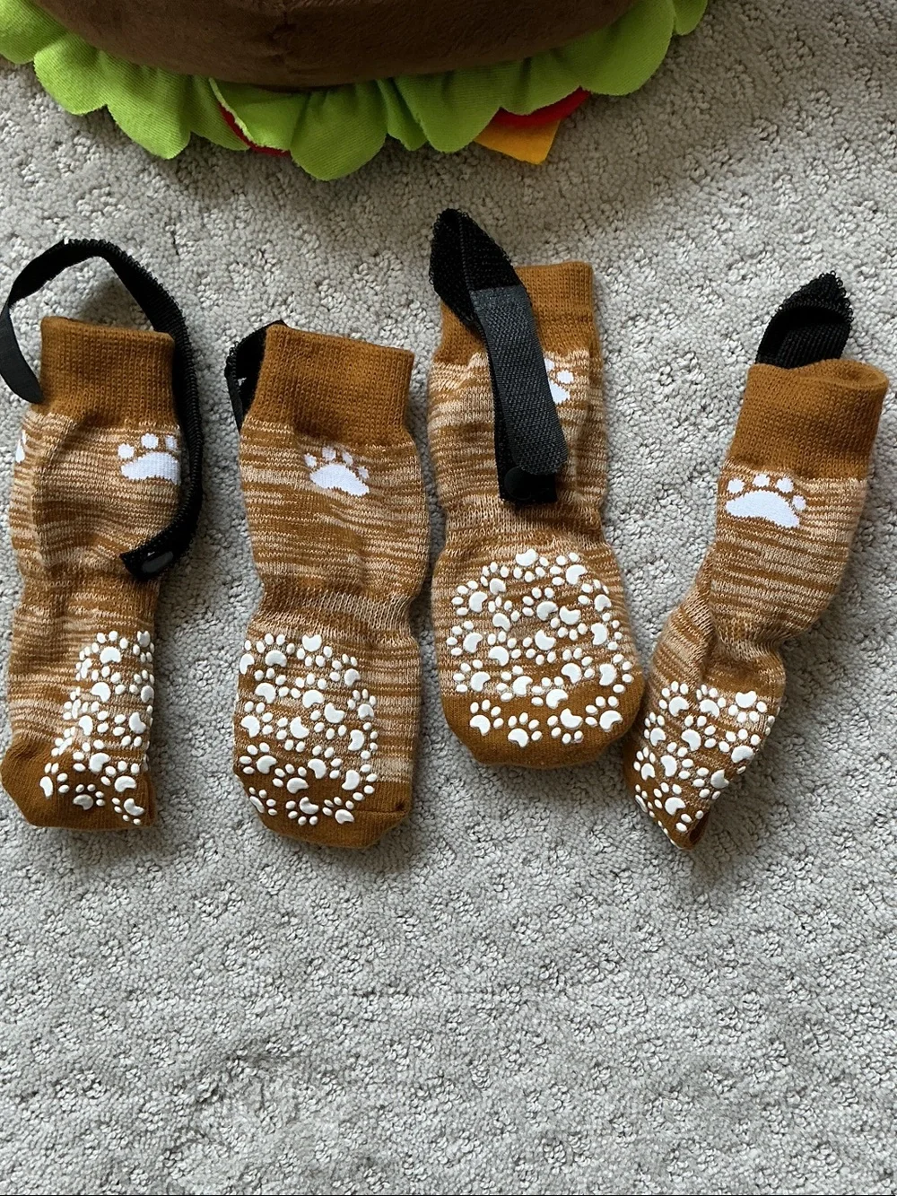 Dog Halloween costumes and socks -  Burger Costume and Zebra Print Pajamas, sock